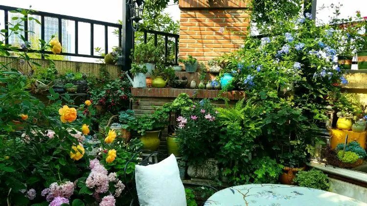 拥有一个这样的小院，人生足矣！-4