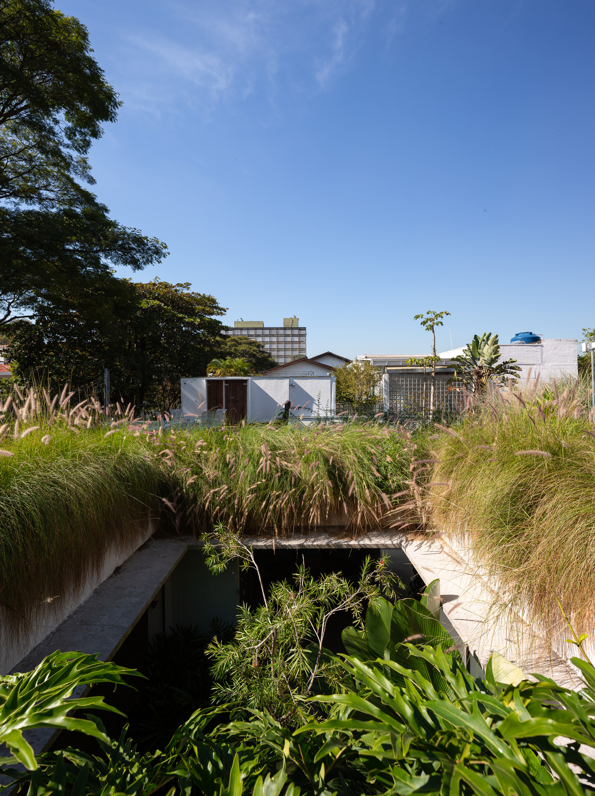 格雷戈里奥·派斯·莱梅宅邸丨巴西圣保罗丨Brasil Arquitetura-9