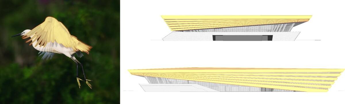 渤海科技大学体育馆丨中国滨州丨中科院建筑设计研究院有限公司-14