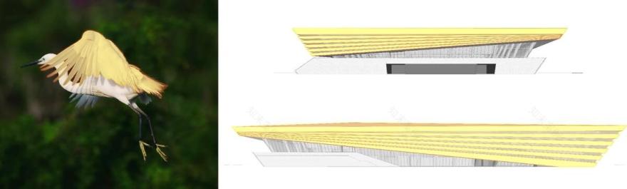 渤海科技大学体育馆丨中国滨州丨中科院建筑设计研究院有限公司-14