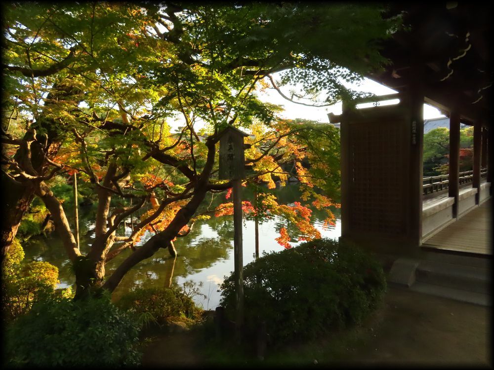 平安神宮神苑丨日本京都丨七代目小川治兵衛-33