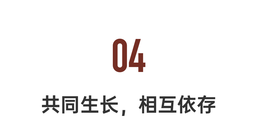 苏州古城中的山水庭园·孙元亮打造450㎡节能大宅丨中国苏州-140