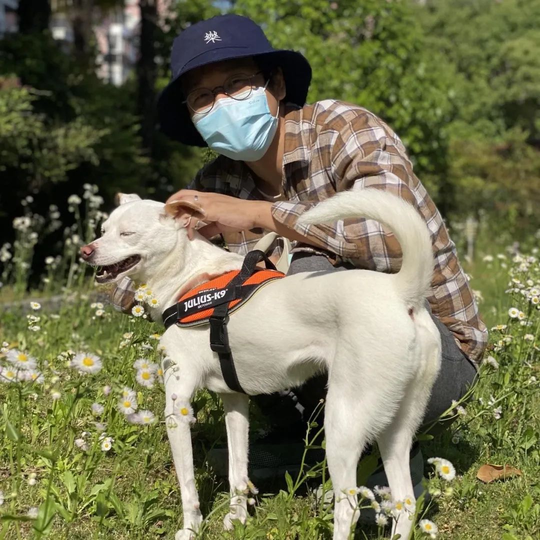 申城设计居家办公抗疫生活实录丨中国上海-111