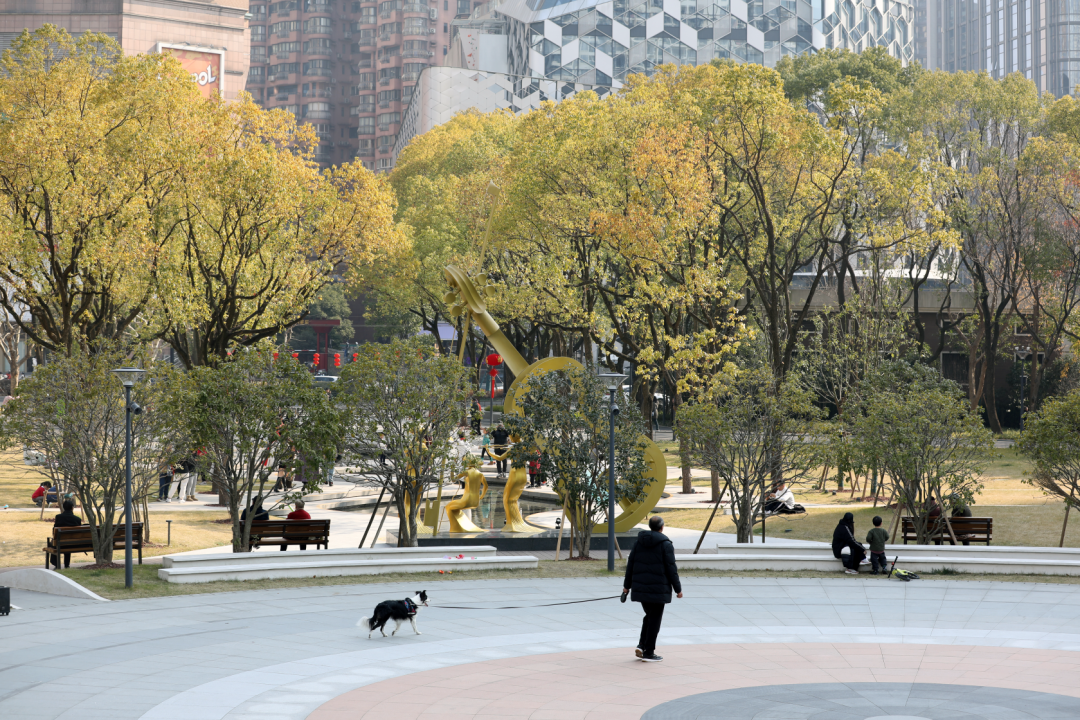 全龄友好的康养主题社区公园：上海长寿公园-45