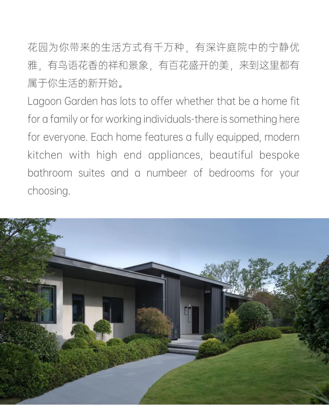 BELT COLLINS | 月下观园 合肥伟星 · 东新壹号-4