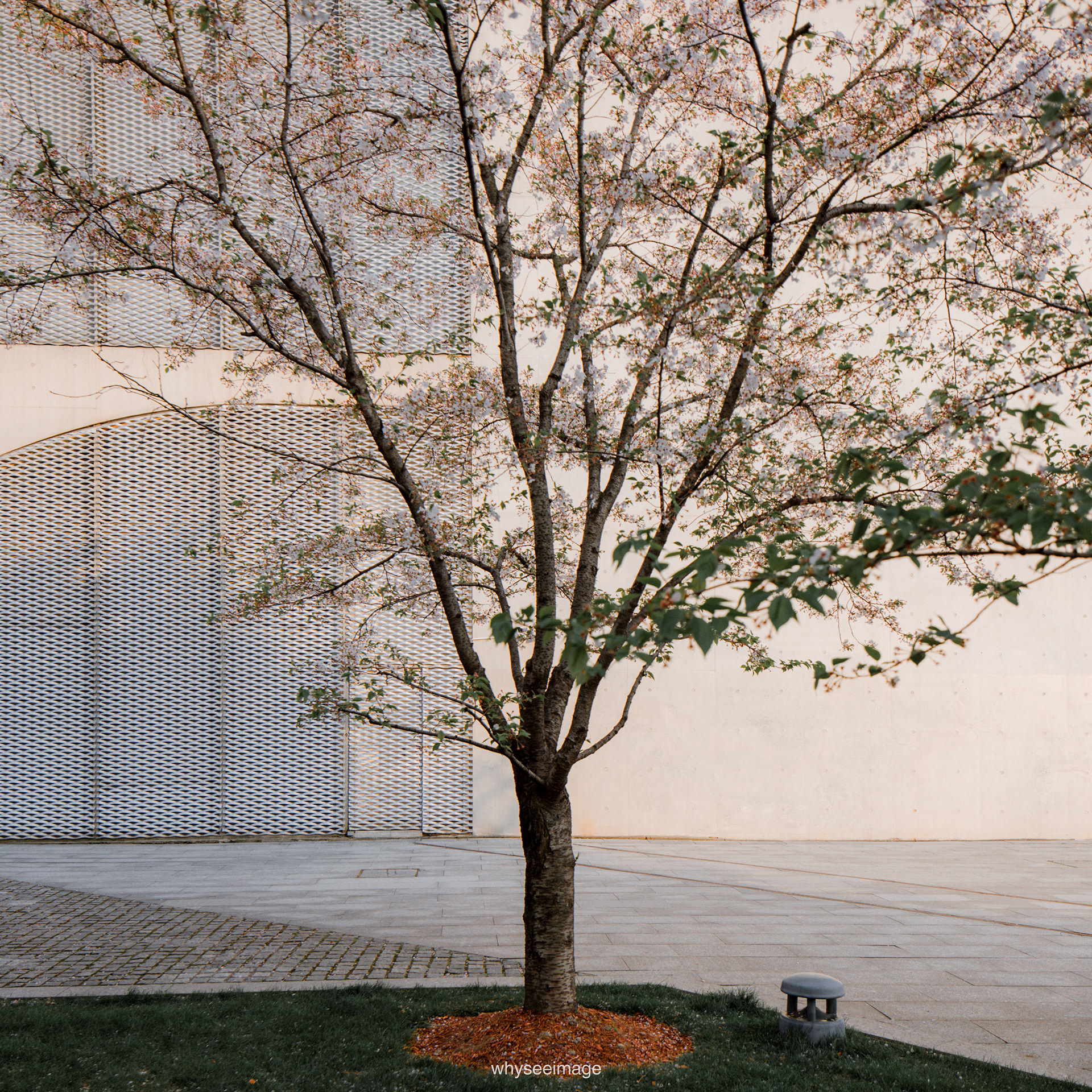 樱花+龙美术馆丨中国上海丨大舍建筑设计工作室-101