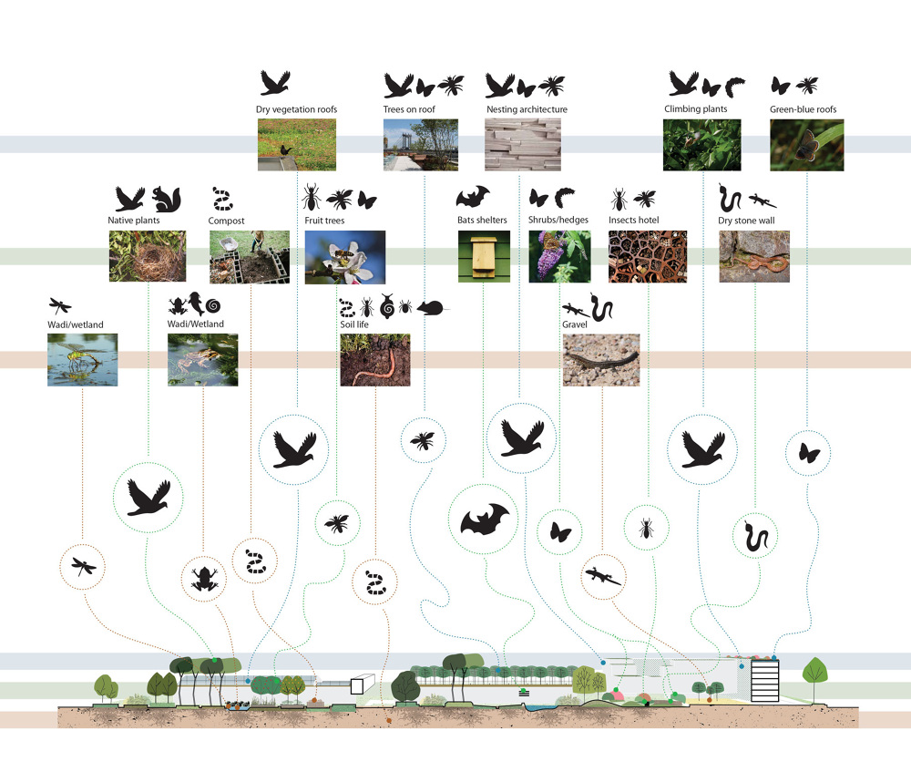 丨意大利米兰丨Inside Outside,Femia Ateliers等-24