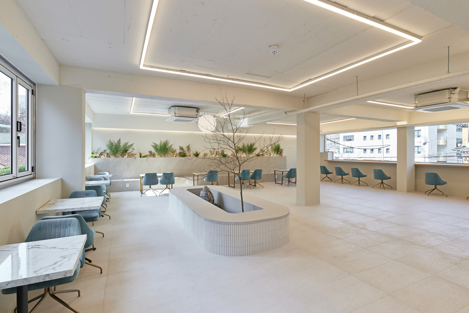 首尔 60 平现代宠物咖啡厅设计-3