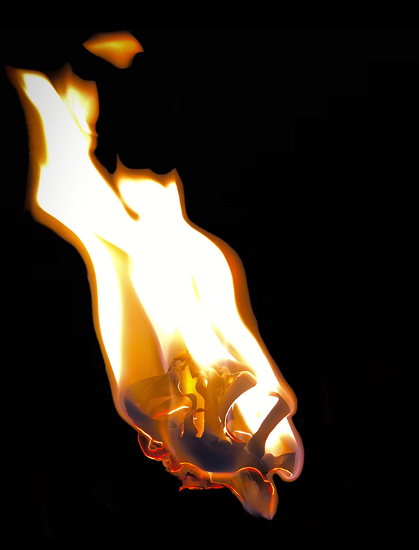 空间与自然元素-10