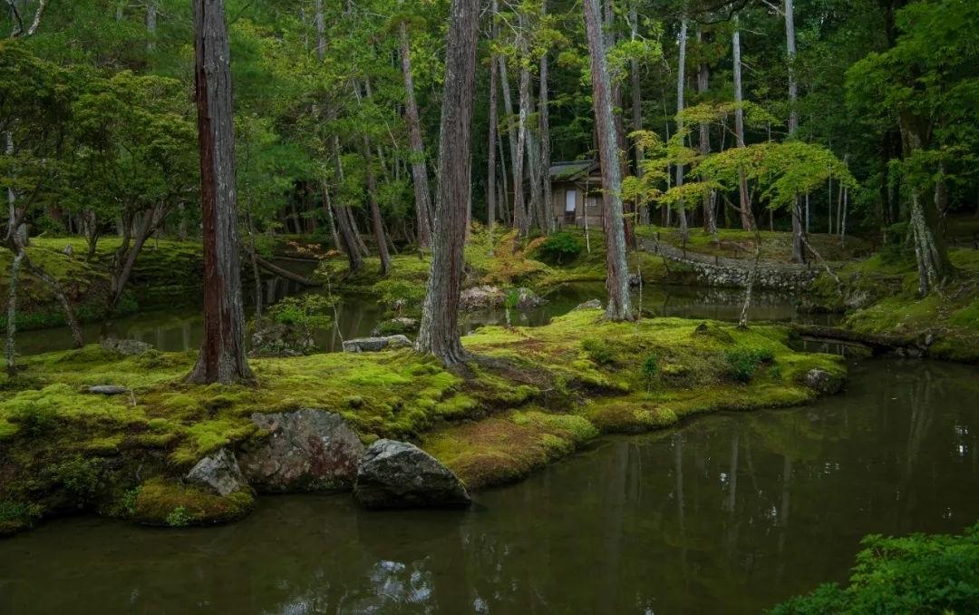 梦窗疏石·禅庭闲寂丨日本-77