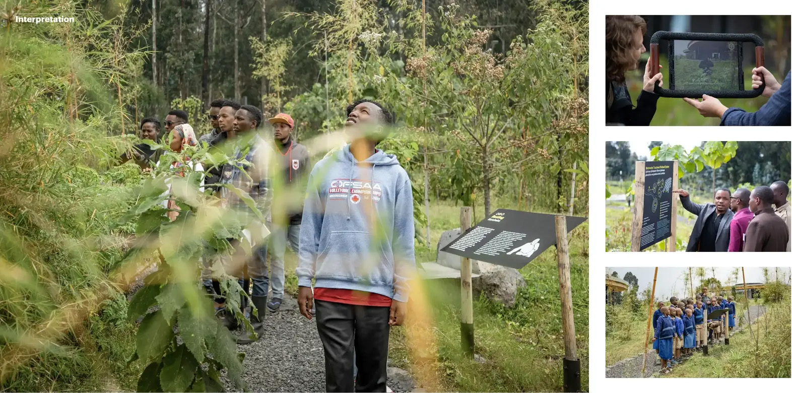 戴安·弗西基金会 & 艾伦·德詹尼丝园区丨卢旺达丨MASS Design Group + TENxTEN-40