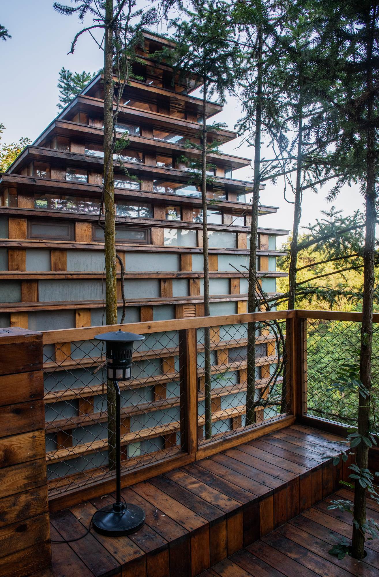 黄山树屋丨中国黄山-19