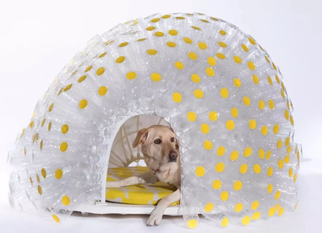 国际爱犬日特别策划 | 创意犬屋设计大赏-21