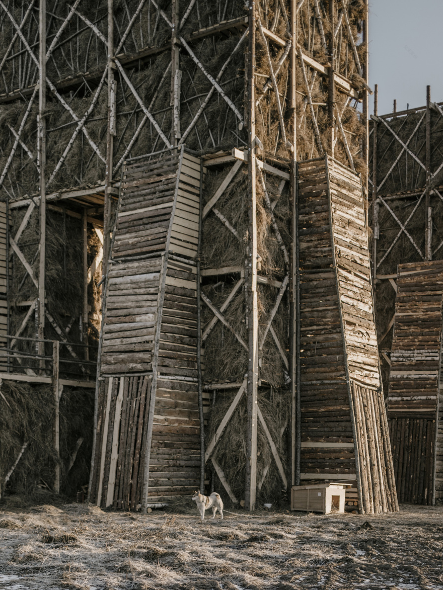 燃烧的桥梁 · 俄罗斯尼古拉列宁维茨艺术公园丨KATARSIS-14