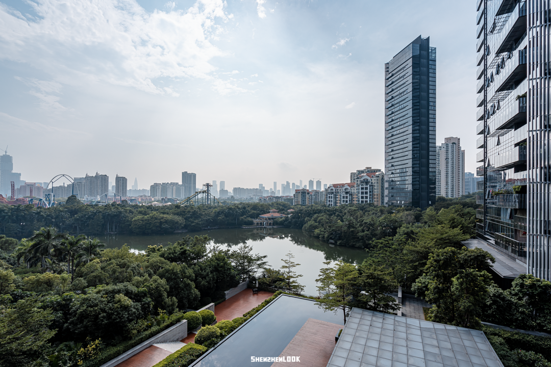 天鹅湖花园私宅丨中国深圳丨WED 中熙设计事务所-10