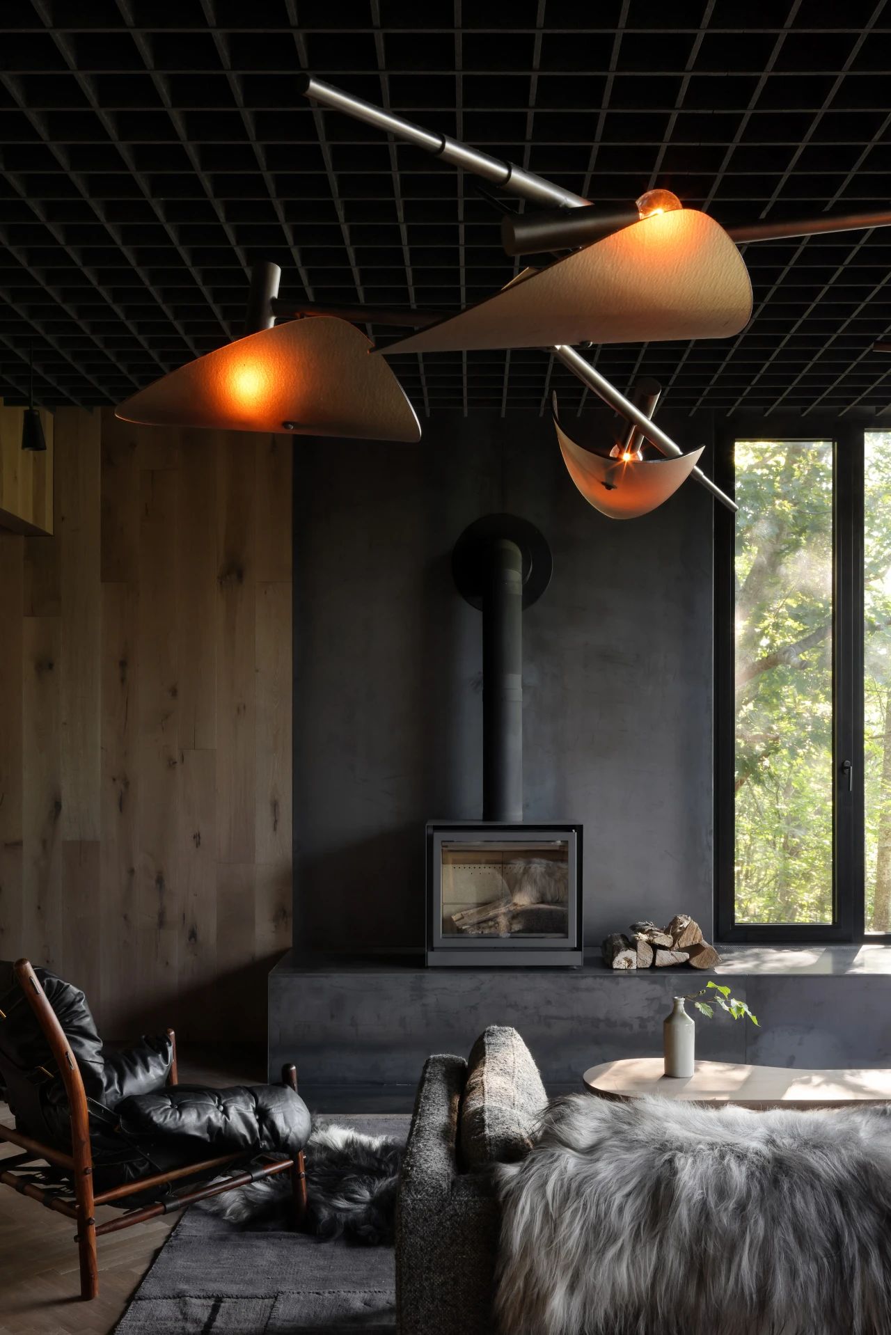 升高的座舱丨加拿大丨Omar Gandhi Architects-18