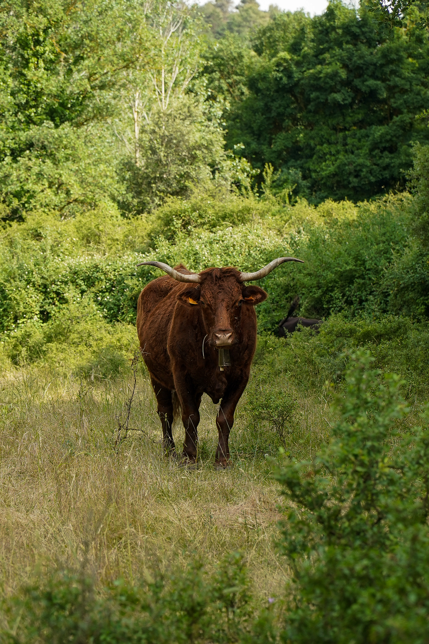 Anastasiya Gushchina丨乡村庭院丨La Encantada - 21丨西班牙-6