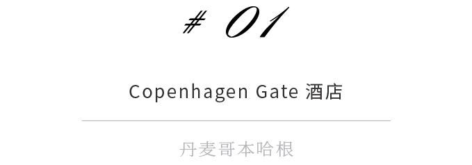 Copenhagen Gate Hotel 室内设计丨丹麦哥本哈根丨Aylott Van Tromp-3