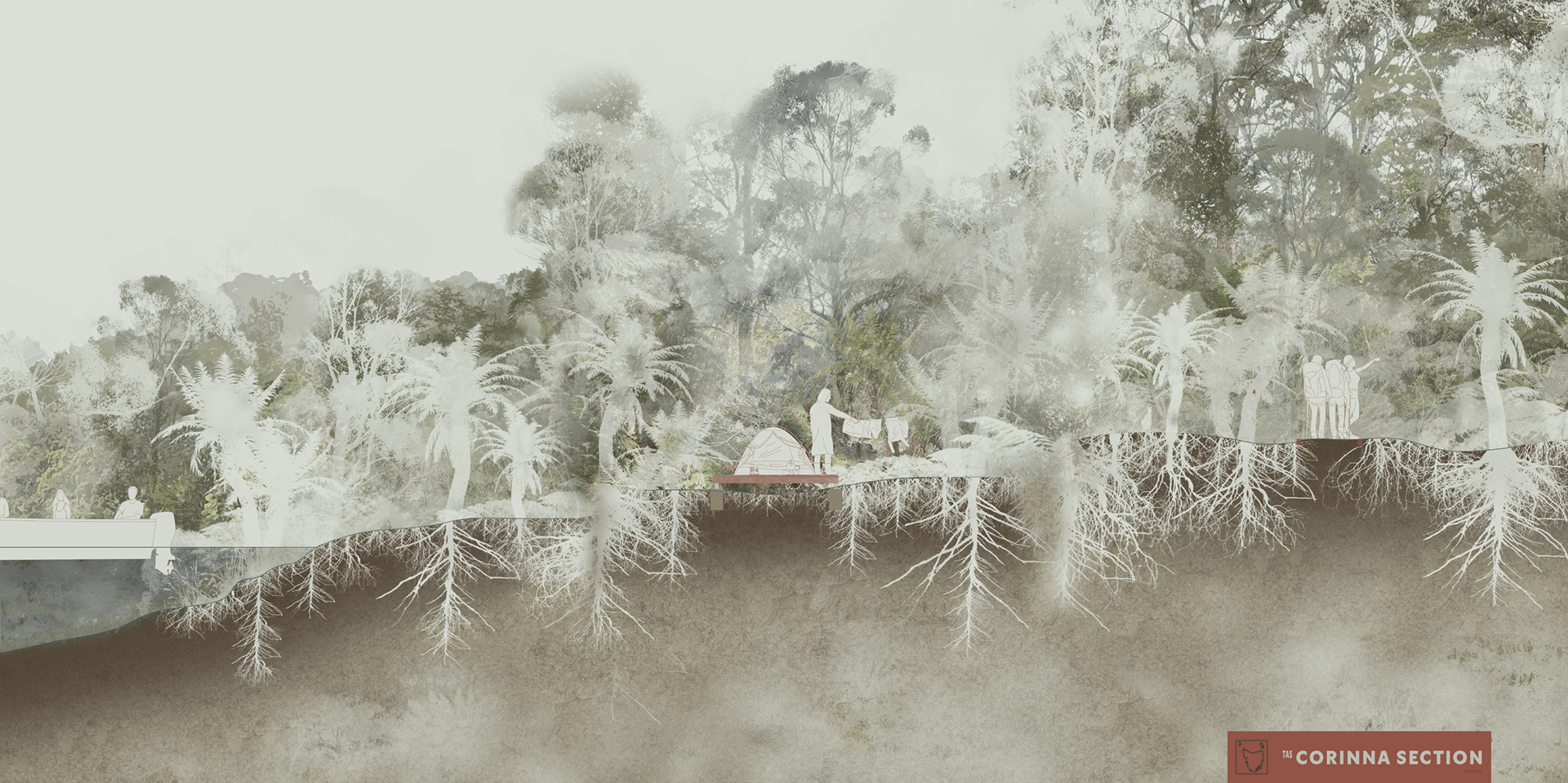 Edge of the World景观建筑设计论文项目丨澳大利亚塔斯马尼亚-50