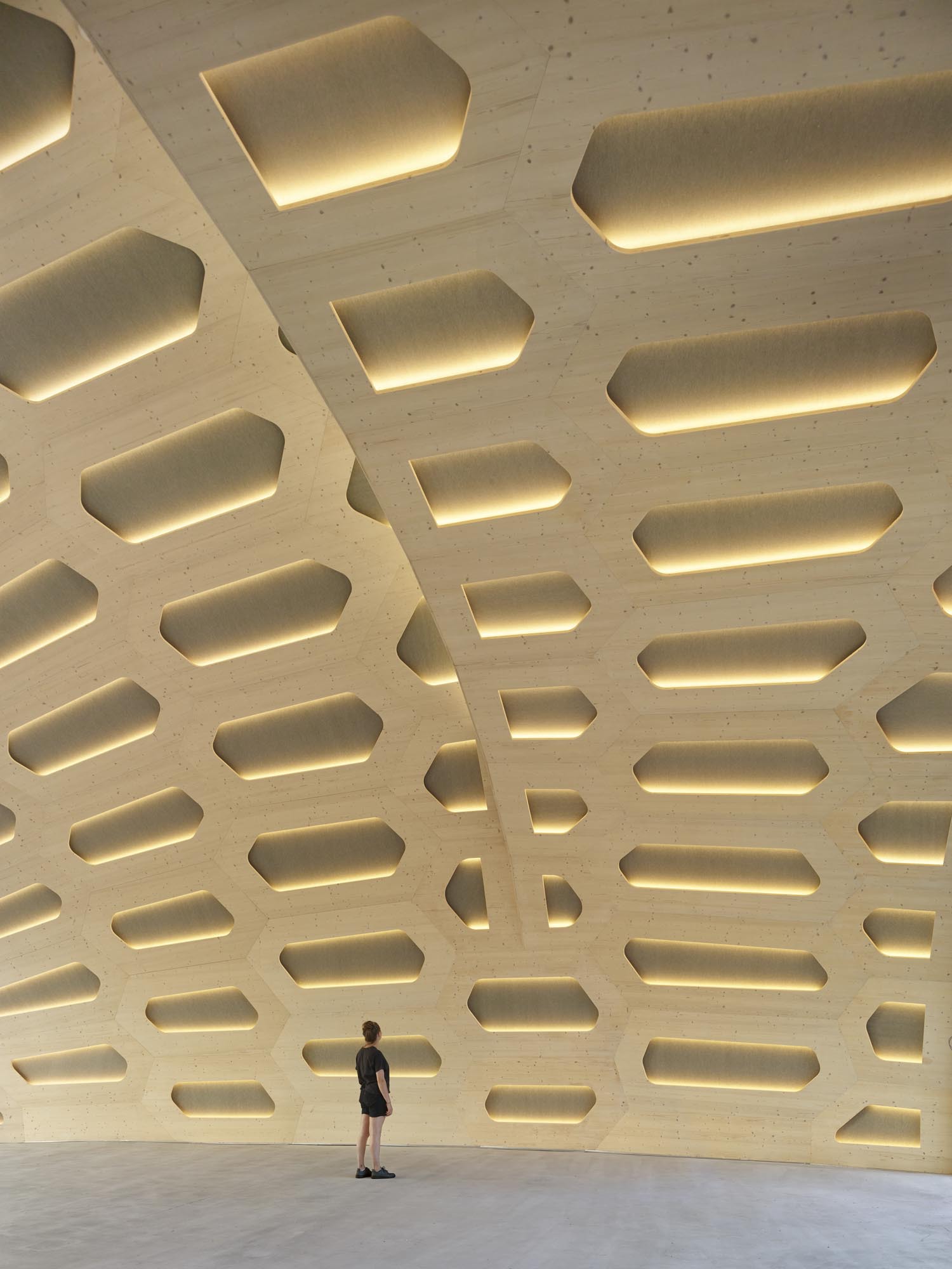 livMATS 仿生壳丨德国丨ICD,ITKE University of Stuttgart-28