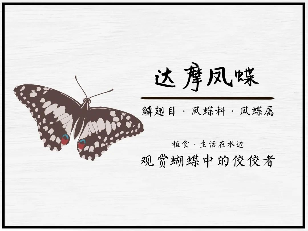 广汽丰田生态园·工业绿色风景线丨普邦设计-84