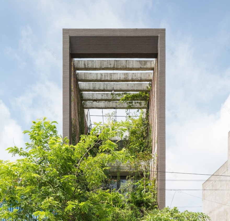 无损检测薄层色谱法之家-29