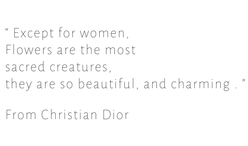 春日里的花漾温柔 | S&N 新作首发-2