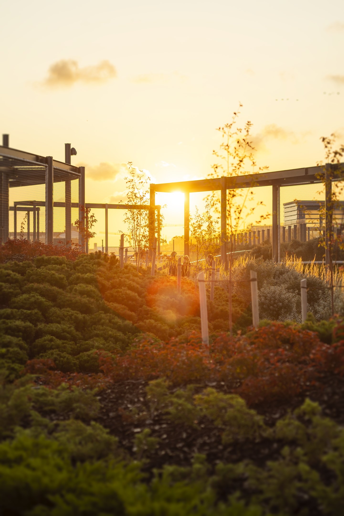 Bryga公共屋顶公园丨芬兰赫尔辛基-42