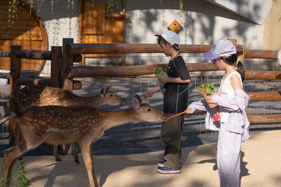 武汉麓客岛一期景观丨中国武汉丨WTD纬图设计,奥雅设计,素水设计-41