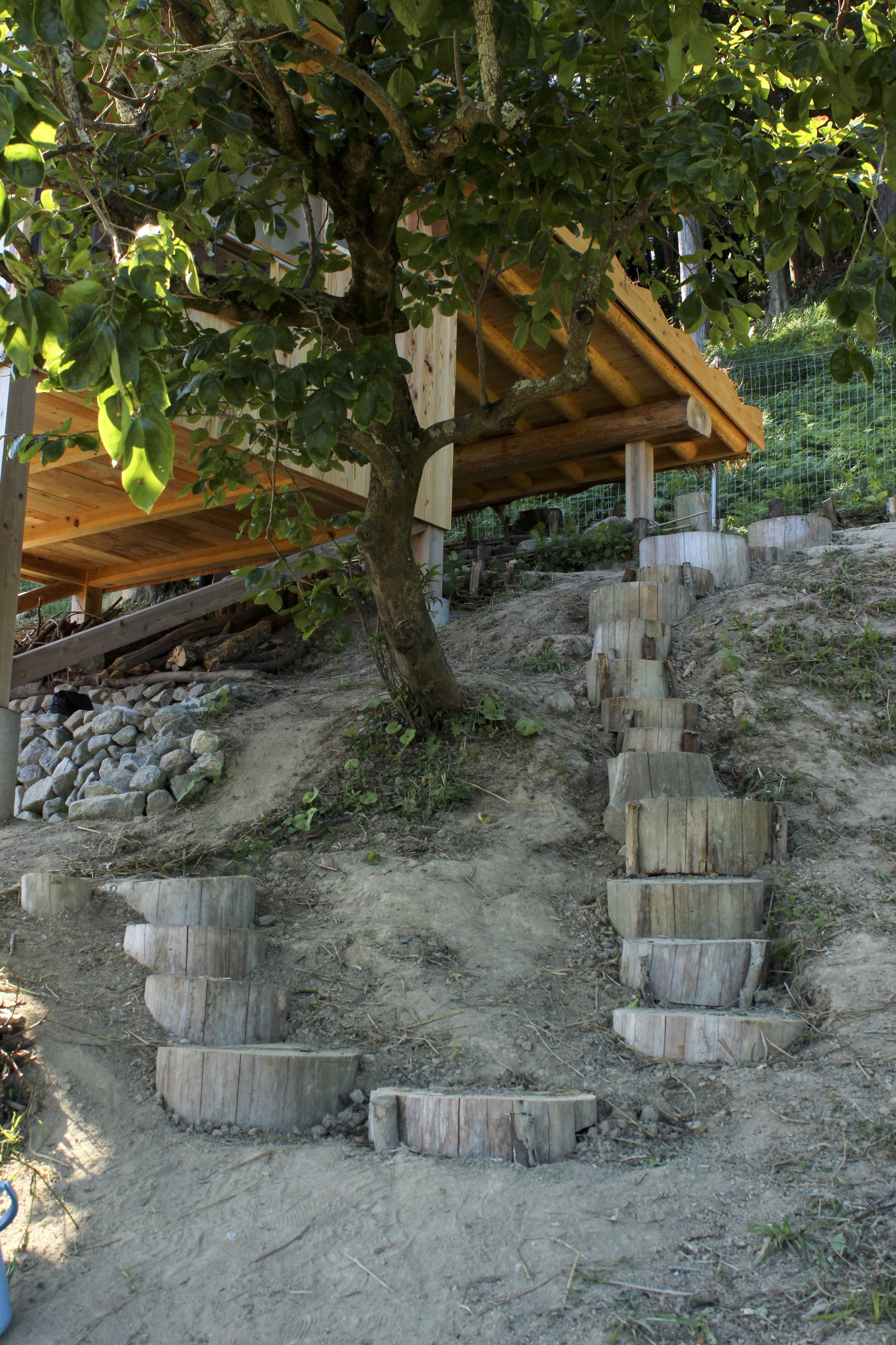 小房子特基特基安丨日本丨6lines studio-36