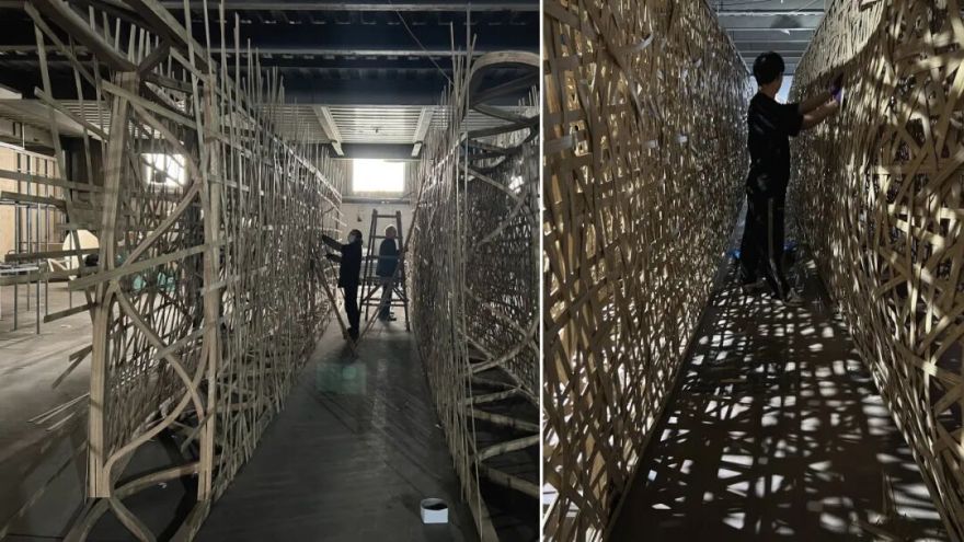 你以为竹子的极限和竹子真正的极限-114