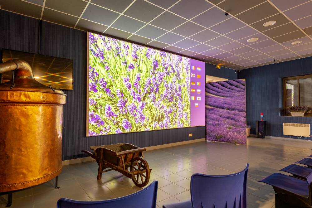 The Luberon Lavender Museum - France-10