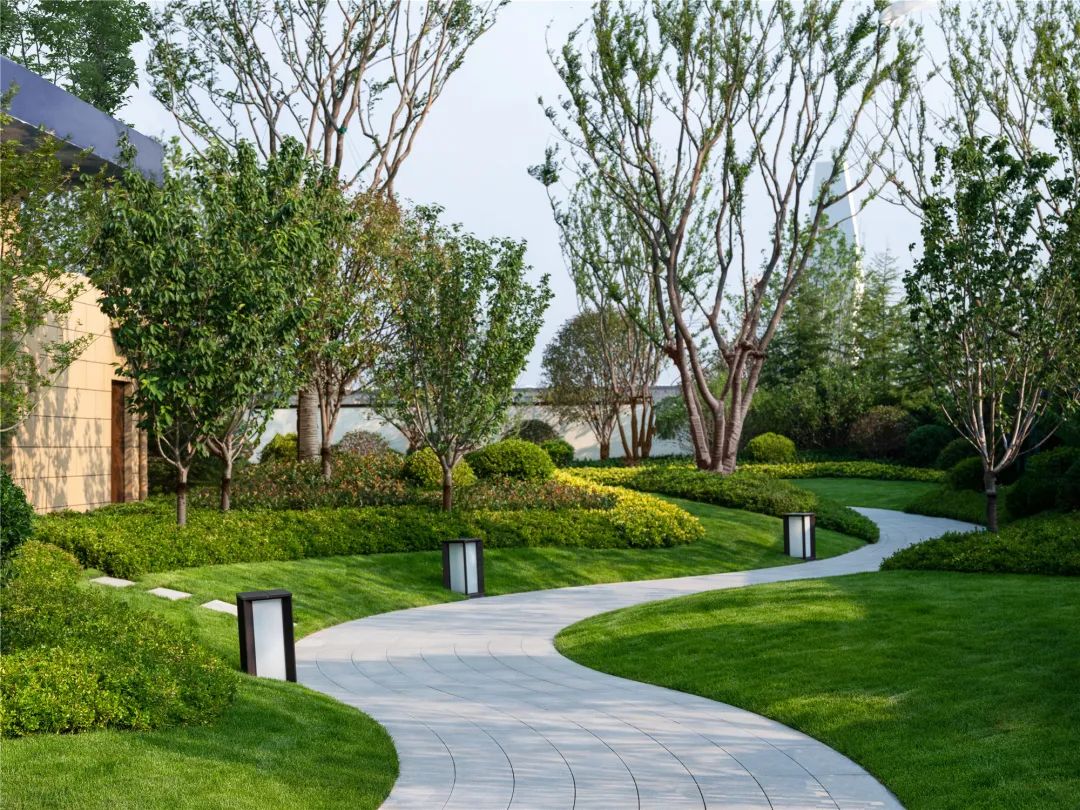 青岛天一仁和·宸璟鹭洲展示区景观-28