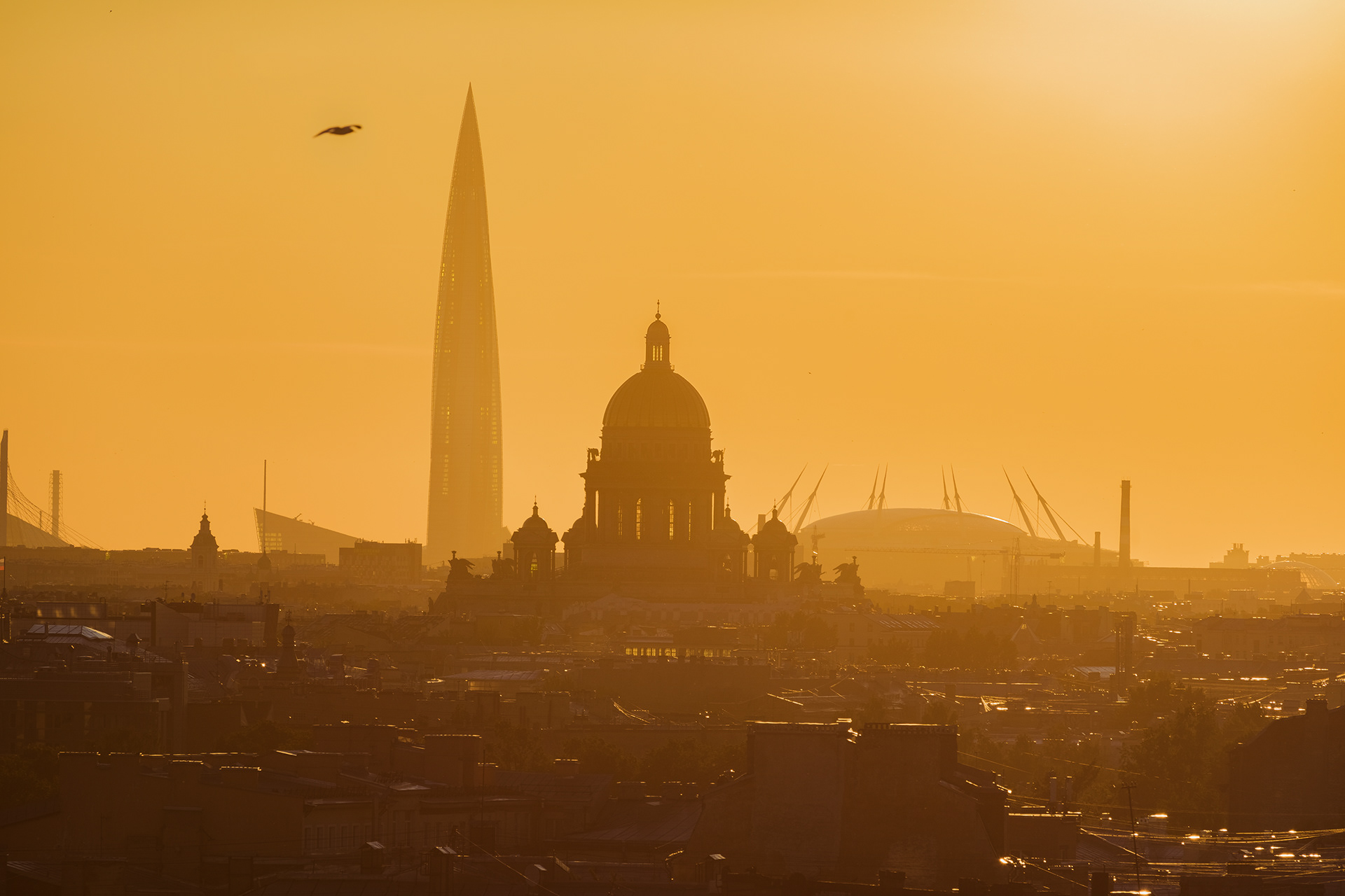 圣彼得堡城市风光-9