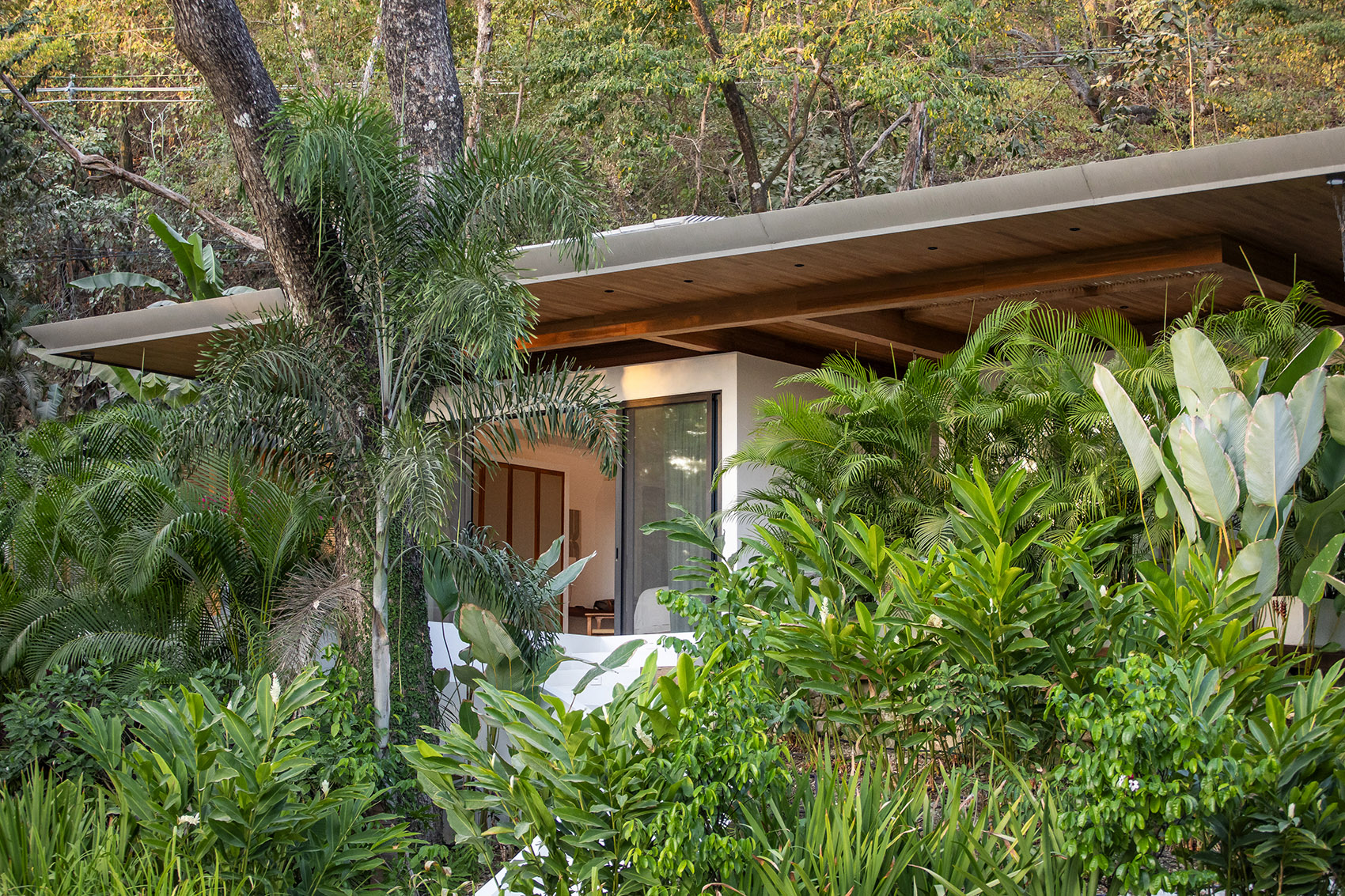 Pasha 度假区丨哥斯达黎加丨Studio Saxe-37