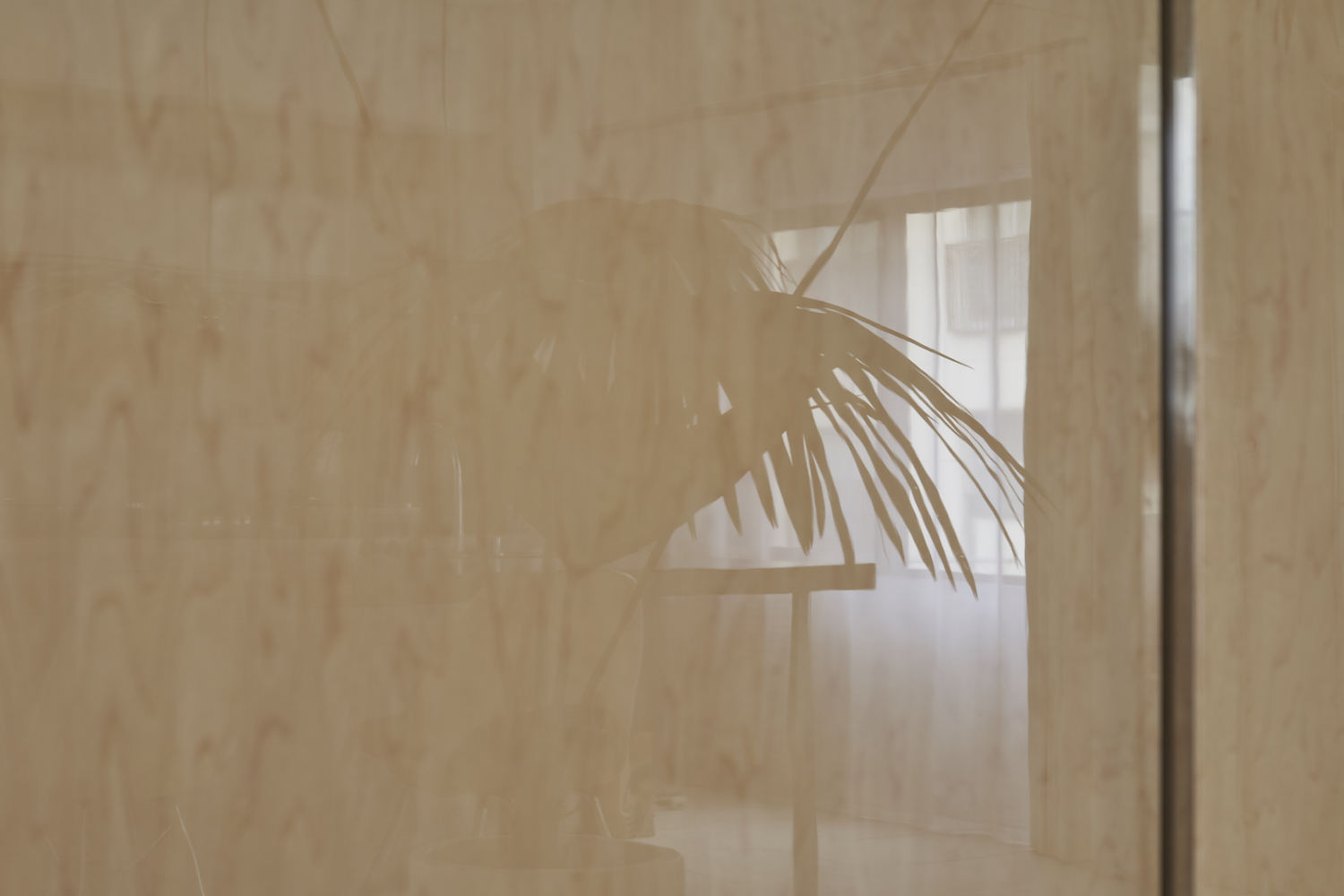 日本风与光之屋丨Office Shogo Onodera-26