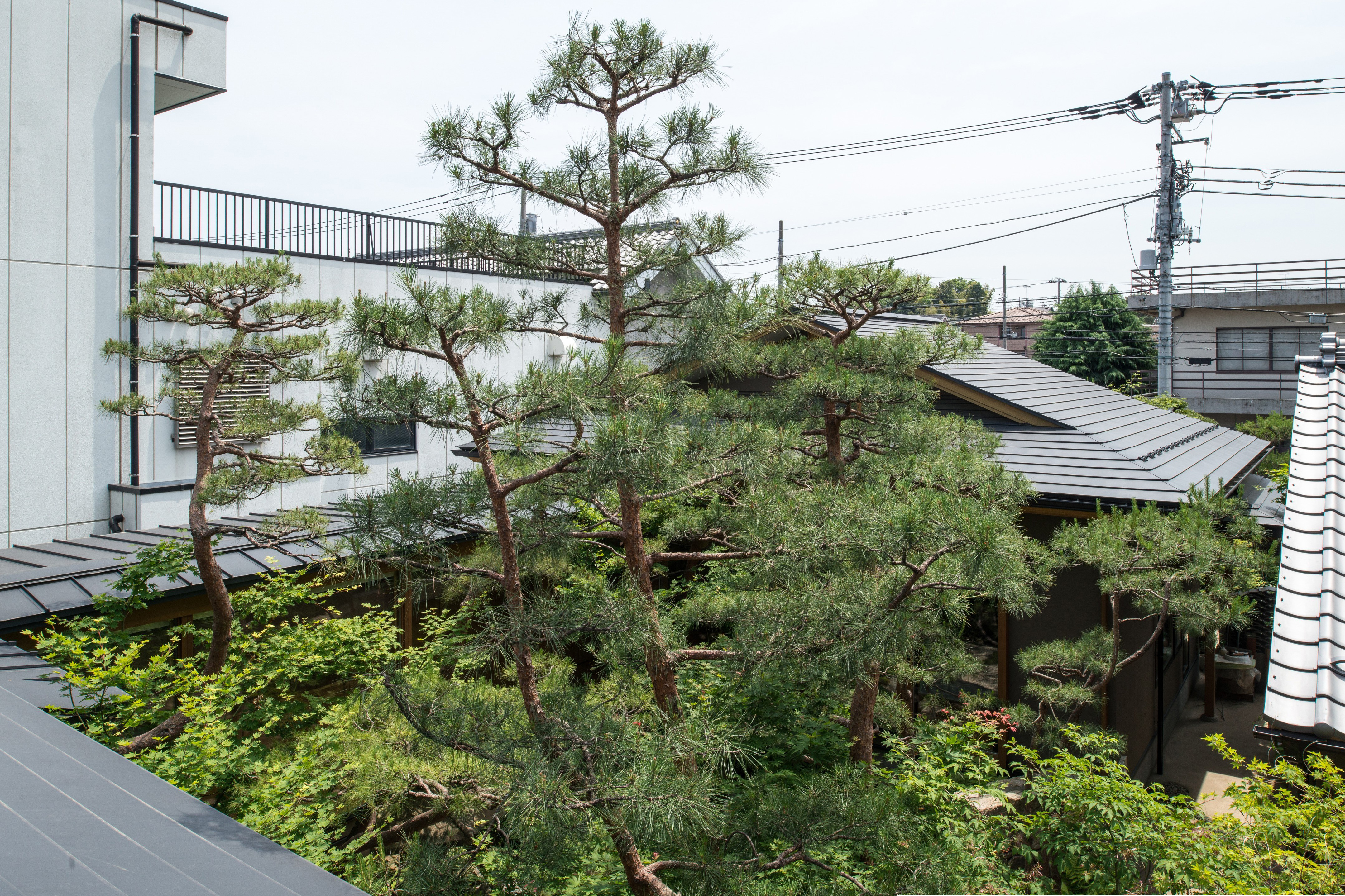 优雅花园 U 邸丨日本丨近江綴園（Omi Tsuzurien）-56