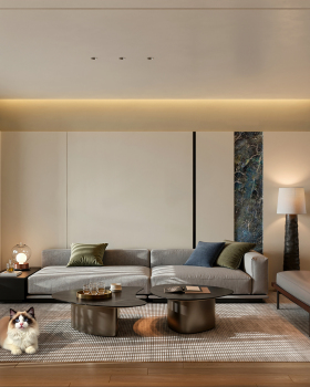 写实现代客厅分享