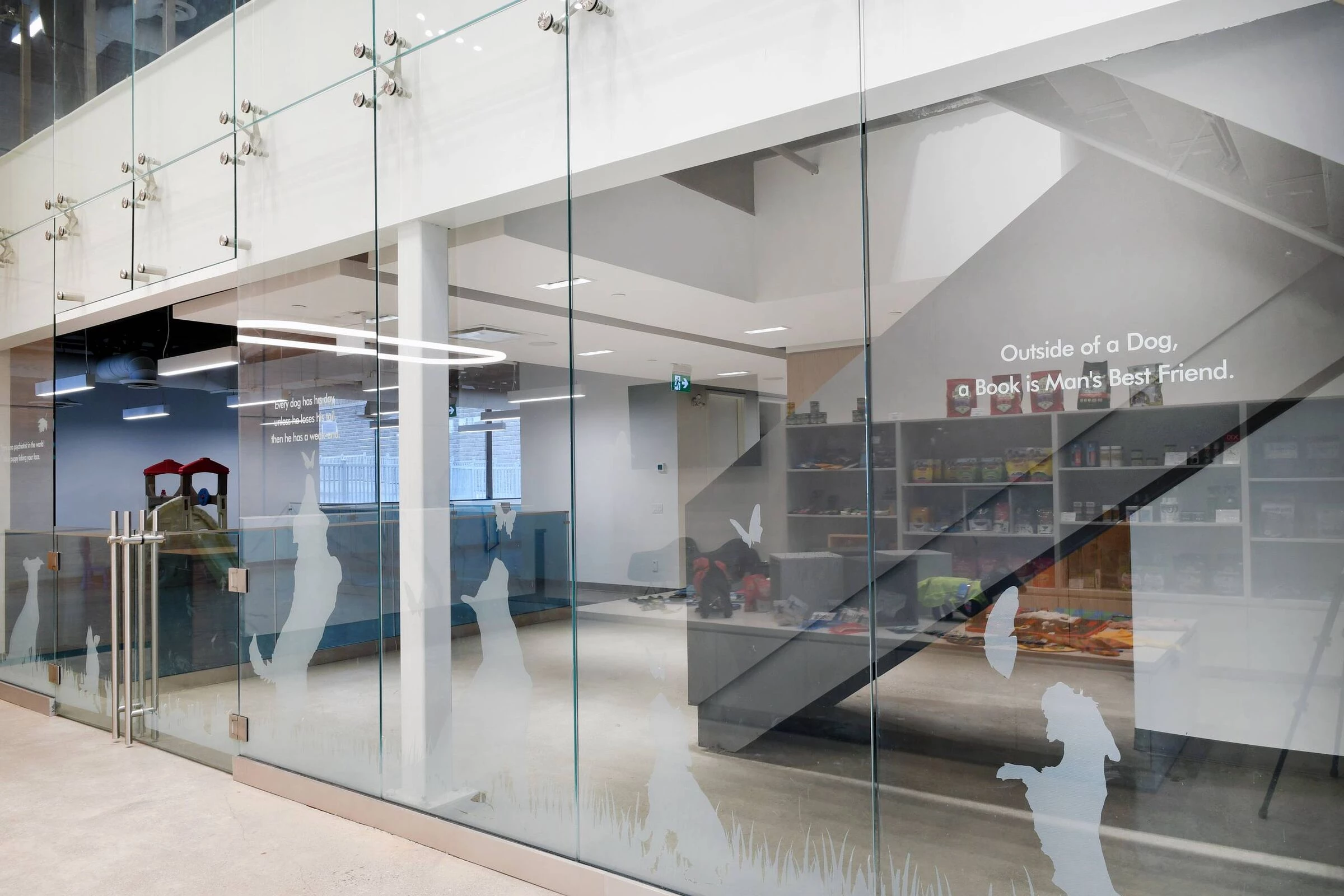 Park Lawn Dog Daycare-7