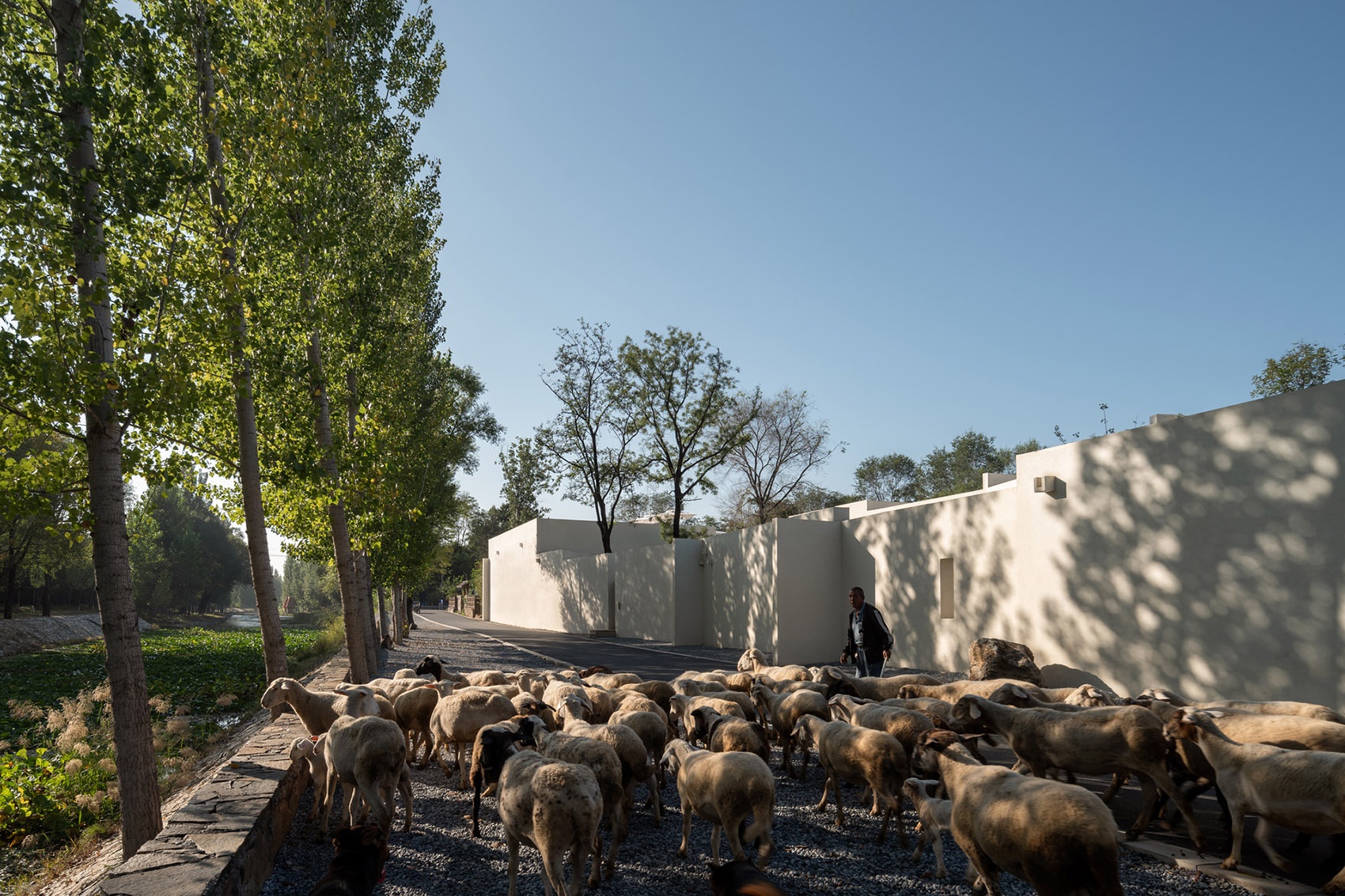 河北邢台和隐度假酒店丨中国河北丨十域建筑 Domain Architects-13