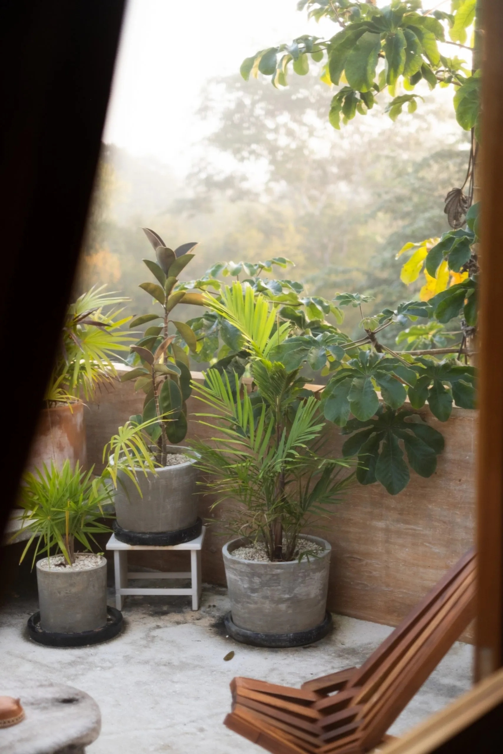 卡萨诺萨福尔扎丨墨西哥瓦哈卡丨Taco-62