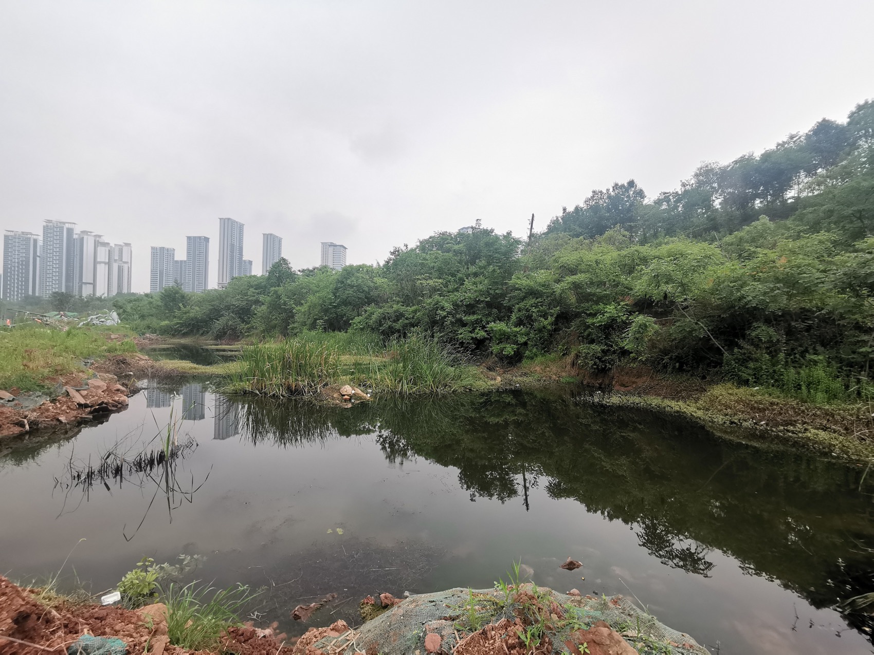 麓野公园丨中国成都丨四川乐道景观设计有限公司-224