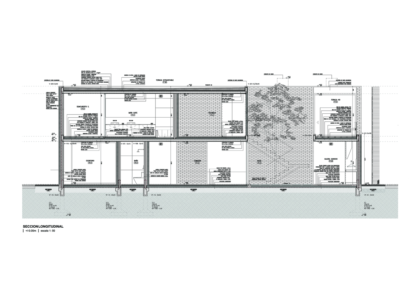 绿意盎然的新 Newman House-51