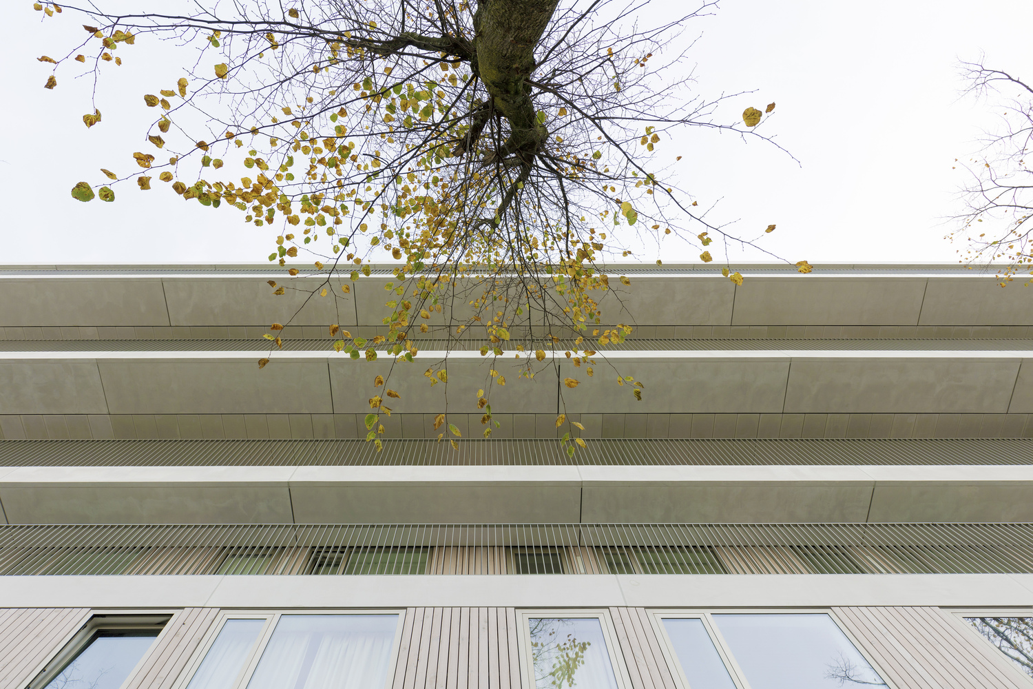 阿姆斯特丹绿色阶梯住宅 | Klencke NL Architects-83