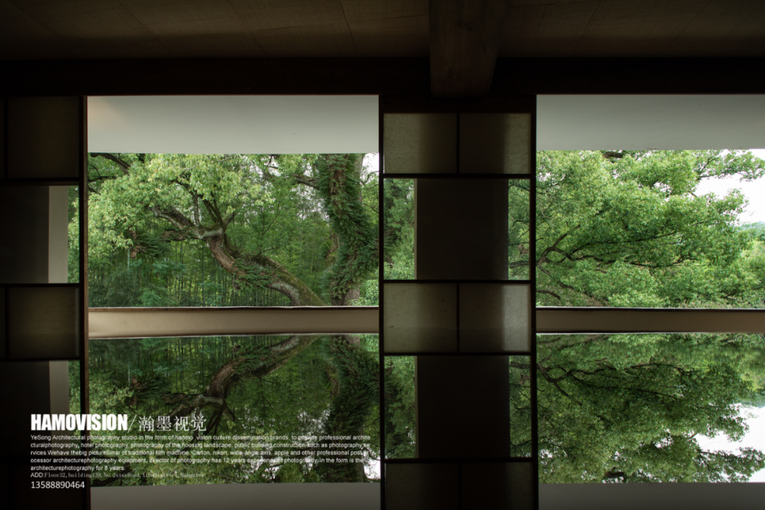 千年樟树下的茶室 · 沈墨设计的古堰画乡茶空间丨中国丽水丨杭州时上建筑空间设计事务所-57