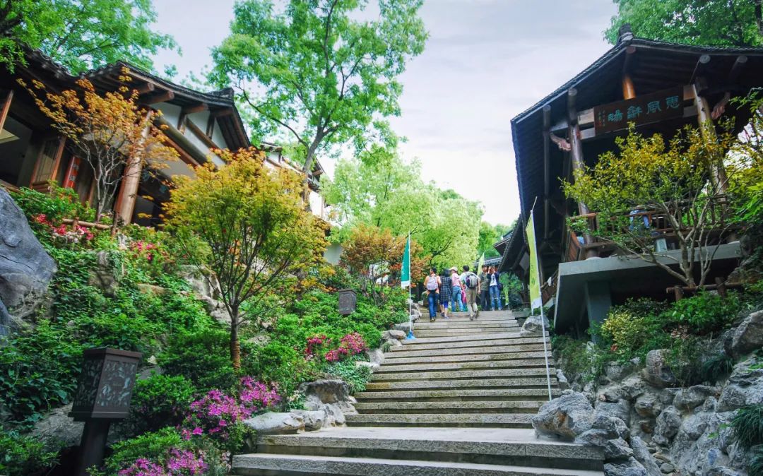 杭州“山中茶街”文化博览园景观丨中国杭州丨杭州园林设计院股份有限公司-15