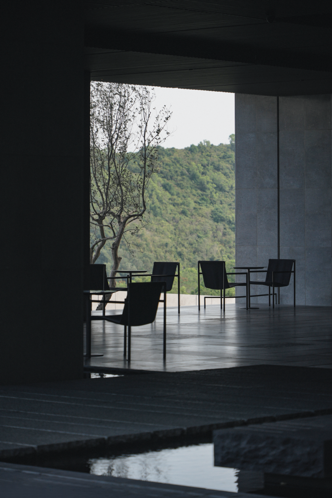 山岚褶皱处的寂静生长|阿那亚三亚景观秘境诗学-184