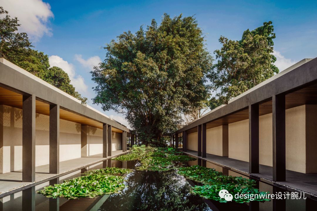 惊艳!全球最新 3 家 One&Only 酒店设计亮点解读-197