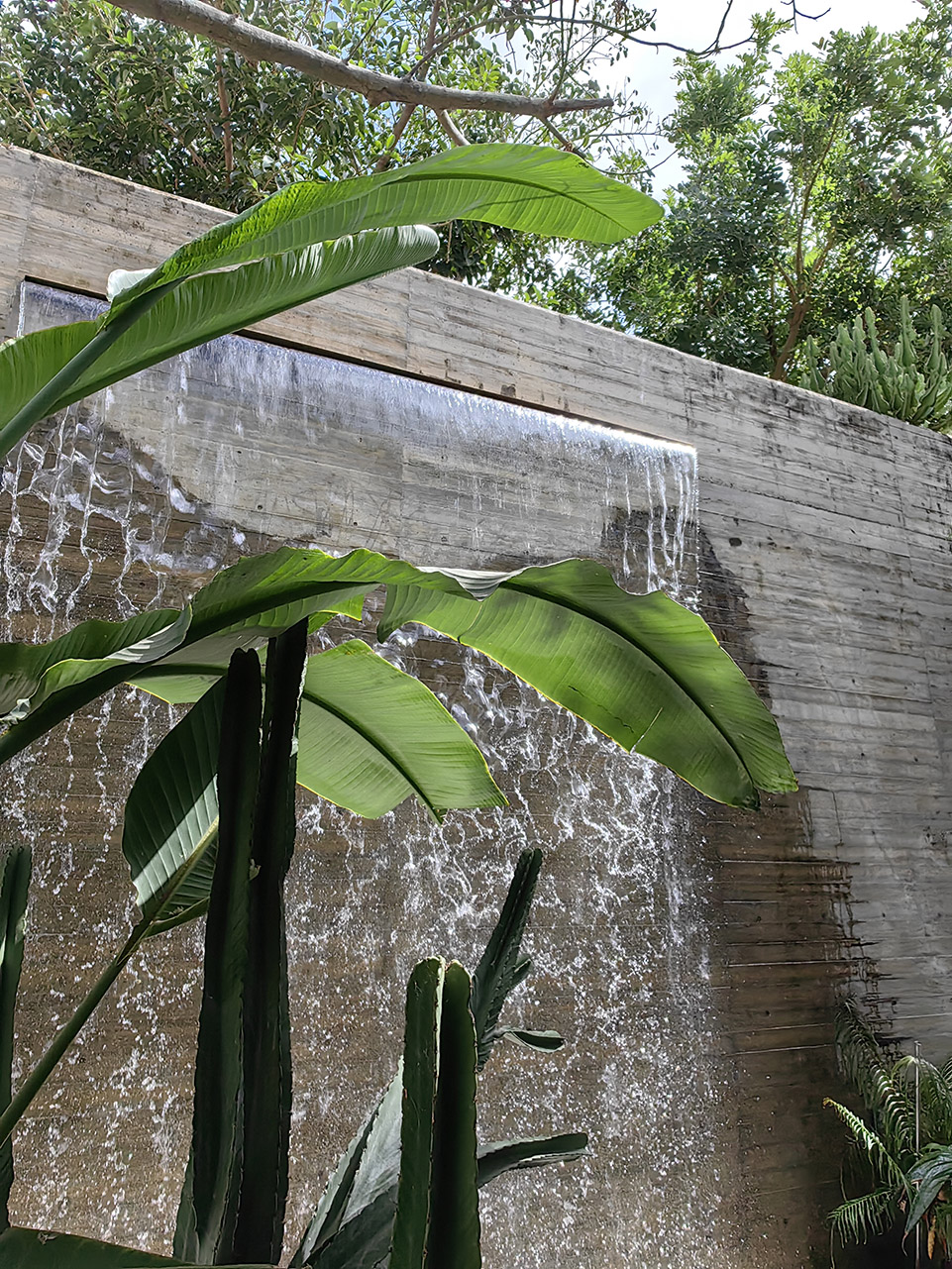 阿那亚三亚南花园丨中国三亚丨Z’scape致舍景观-299