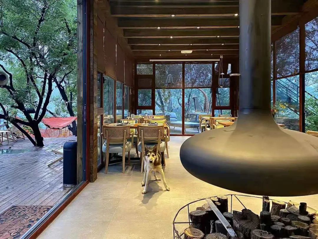 山的礼物·民宿丨中国新乡丨河南凹凸环境艺术设计公司-63